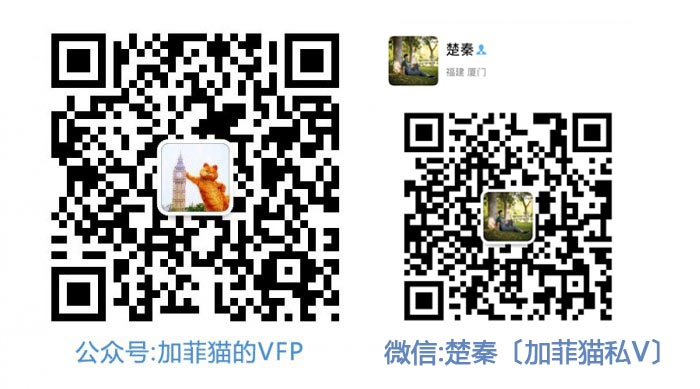 公众号:加菲猫的VFP